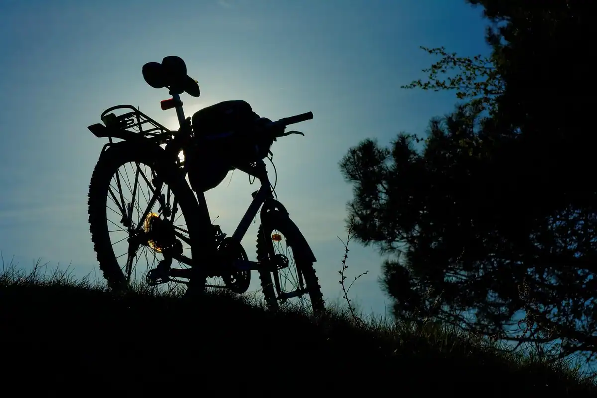 Bicicletă de munte fixată pe un portbagaj, cu silueta roții și a cadrului pe fundal deschis