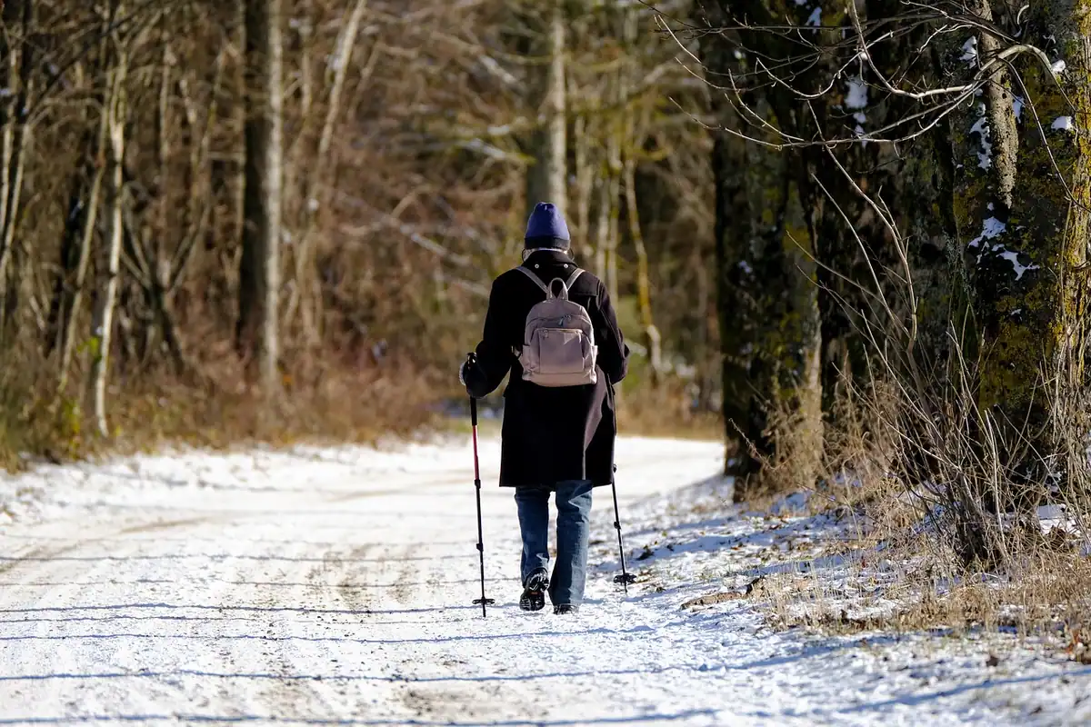 Turist cu bețe și rucsac pe un drum de pădure acoperit cu zăpadă