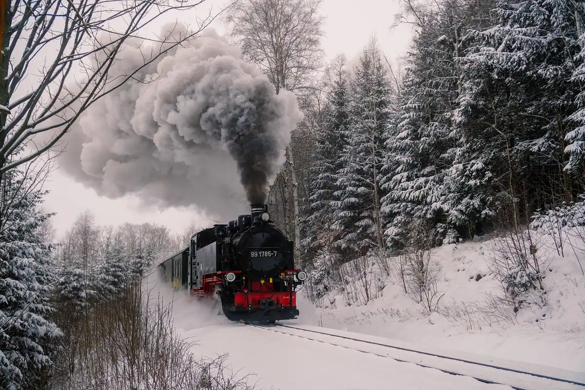 Locomotivă cu aburi pe o cale ferată îngustă, printre brazi acoperiți cu zăpadă