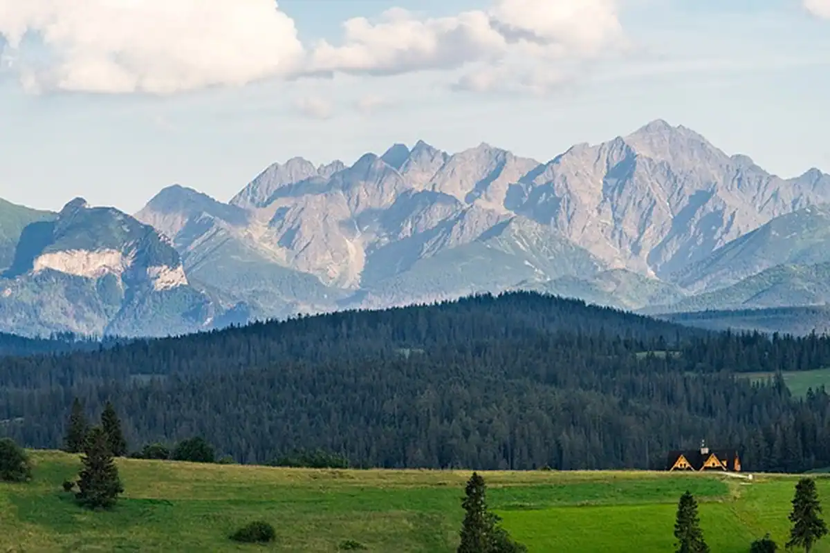 Munți înalți cu vârfuri stâncoase și pădure de brazi, deasupra unei pajiști