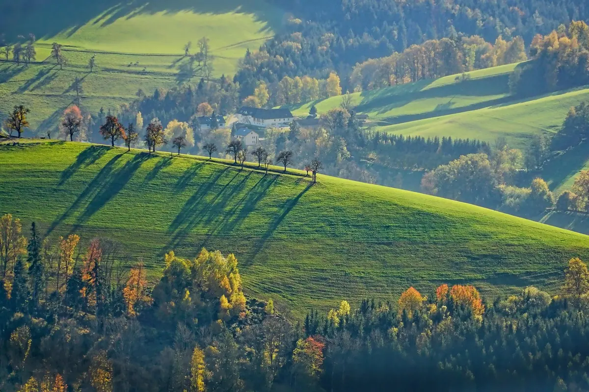 Dealuri verzi cu pomi izolați și umbre lungi, în peisaj rural din Transilvania