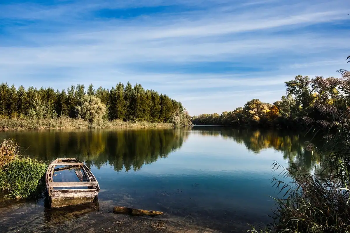 Barcă veche pe un canal liniștit, între stuf și copaci, în Deltă